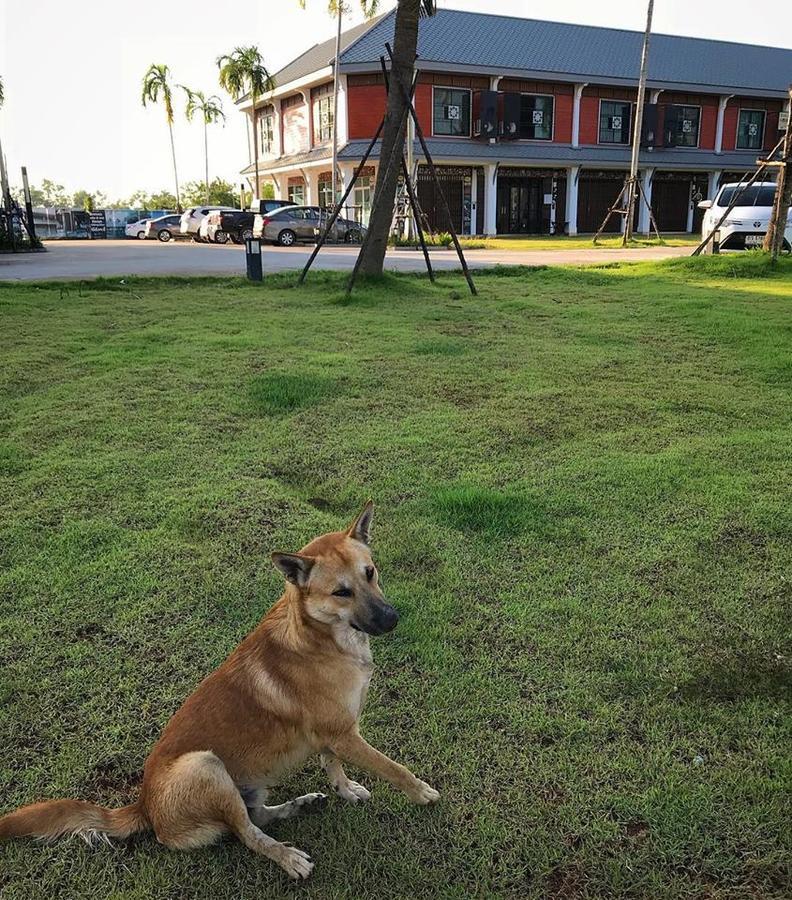 Barandbed Urt Hostel Surat Thani Exterior photo